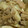 nenea_net's cooksnap of when they made たけのことシーチキンのさっと煮☆.