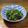 クックDAD's cooksnap of when they made ほうれん草となめこのツルっとおひたし.