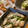 monemaruku's cooksnap of when they made 塩麹さんde牡蠣ときのこの酒蒸し.
