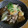 うさぽんぽん♪'s cooksnap of when they made 【常備菜】豚肉と厚揚げのみぞれ煮.
