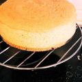 マドリッドキッチン's cooksnap of when they made 基本のスポンジケーキ.
