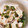 mypxx's cooksnap of when they made 簡単！鶏皮のネギポン酢.