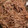 ConneQTゆん's cooksnap of when they made ごはんが進む！牛肉とごぼうと白滝の甘辛煮.