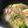 マヨミ's cooksnap of when they made 簡単！ネギたっぷり美味♪豚バラにんにく鍋.
