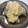 ショコラシフォン's cooksnap of when they made 学校給食で人気！さばのおろし煮.