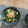マールマル's cooksnap of when they made 簡単♪小松菜のお浸し.
