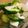 くコ:彡's cooksnap of when they made 野菜の即席漬け.