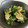papikun's cooksnap of when they made ゆかりのイブクロ　小松菜と油揚げの煮浸し.