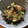 北京パンダ's cooksnap of when they made ねぎと大根おろしだらけ‼ぶっかけ蕎麦.