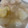 yuzupachi's cooksnap of when they made 梨のはちみつ煮.