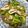 クック8J0LFQ☆'s cooksnap of when they made イカとピーマンの生姜焼き.