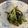 run※'s cooksnap of when they made 大嫌い！な水菜が旨すぎるサラダ.
