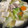 今宵あなたと's cooksnap of when they made 簡単！本格的な水炊き.