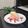 からあげパーティー's cooksnap of when they made 簡単レンジでプロテイン入りおから蒸しパン.