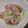 あゆみさんです's cooksnap of when they made ☆きゃべつの煮浸し☆.