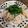 megpololi's cooksnap of when they made 志麻さんの舞茸と鶏胸肉の蒸し煮.
