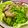 よしよしのキッチン☆'s cooksnap of when they made 豚トロ等…肉の塩ダレ炒め.