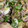 snow012's cooksnap of when they made ヤムマクア＊タイ風焼きナスサラダ.
