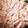 ♬あじさいのレシピ♬'s cooksnap of when they made しっとり洋風卯の花★コンソメ+ウインナー.