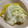 papikun's cooksnap of when they made 塩もみ白菜の柚子胡麻和え.
