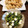 junmomoan♪'s cooksnap of when they made ほうれん草とモッツァレラのごま和え＊.