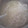 AiYuKE's cooksnap of when they made だし不要安くてお手軽！もやしのお味噌汁！.