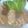 xyzクック's cooksnap of when they made 魚焼きグリルで揚げないチーズとんかつ.