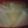 あゆたっくん's cooksnap of when they made まるごとにんにくのほろほろスープ.
