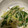 ようさんママ's cooksnap of when they made 簡単！もやしときゅうりとニラのナムル.