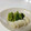 saknon's cooksnap of when they made 絶品セロリ香る大根(白菜)の粕漬　樽漬け.