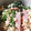 MIKOさん's cooksnap of when they made 春菊とハムの白和え【作り置き】.