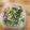 LEE06's cooksnap of when they made チンゲン菜とベーコンの蒸し炒め.