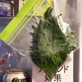 tikariri's cooksnap of when they made 青しそ（大葉）の保存方法.