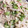 ゆきねぇね's cooksnap of when they made 簡単副菜！レンコンと枝豆のツナマヨ和え！.