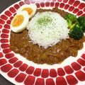 ミーナルナ's cooksnap of when they made 水無し！１０分煮込みの絶品トマトカレー.