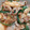 クックHBQ370☆'s cooksnap of when they made うま♪長いもと豚コマとピーマンの中華炒め.
