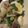 さぁ★たぁ★'s cooksnap of when they made 菜の花と豚バラの辛子マヨ和え。.