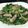 Remtan's cooksnap of when they made 簡単♪クレソンとベーコンのガーリック炒め.