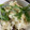 テヨン1's cooksnap of when they made 簡単サバ缶で炊き込みごはん.