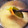 ふぁんころ's cooksnap of when they made ねばとろ☆生めかぶのお味噌汁.