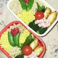 のぶとまと's cooksnap of when they made 牛乳パックでキレイにそぼろ弁当作っちゃぉ.
