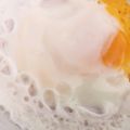 くむちん's cooksnap of when they made レンジで簡単！ハムエッグ.