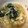 ココアLoveママ's cooksnap of when they made ふんわり卵とわかめの中華はるさめスープ.