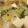 ★bluesky★'s cooksnap of when they made 鶏の水炊き『きのう何食ベ』#100.