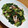 山ばあば's cooksnap of when they made ぶつ切りイカと小松菜の塩だれ炒め.