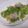 きらり流れ星's cooksnap of when they made 野菜たっぷり塩焼きそば風ペペロンチーノ.
