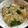 クックPNIDIW☆'s cooksnap of when they made 豆乳鍋 リゾット.