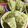 sora93's cooksnap of when they made ホットケーキミックスｄｅ抹茶蒸しパン.