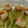 ＊こっち＊'s cooksnap of when they made 簡単！！蒸しなすの海老あんかけ♡.