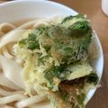 たべたべこ's cooksnap of when they made 大根の葉の天ぷら(かき揚げ).